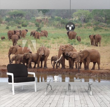 Picture of Elephants Tsavo West